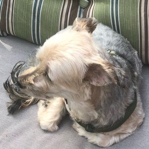 Meet your Posher, Kalynn